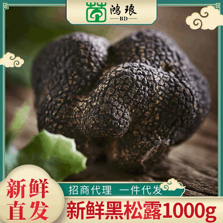【黑松露】云南特产食用块菌猪拱菌散装1000g现货冷链直达