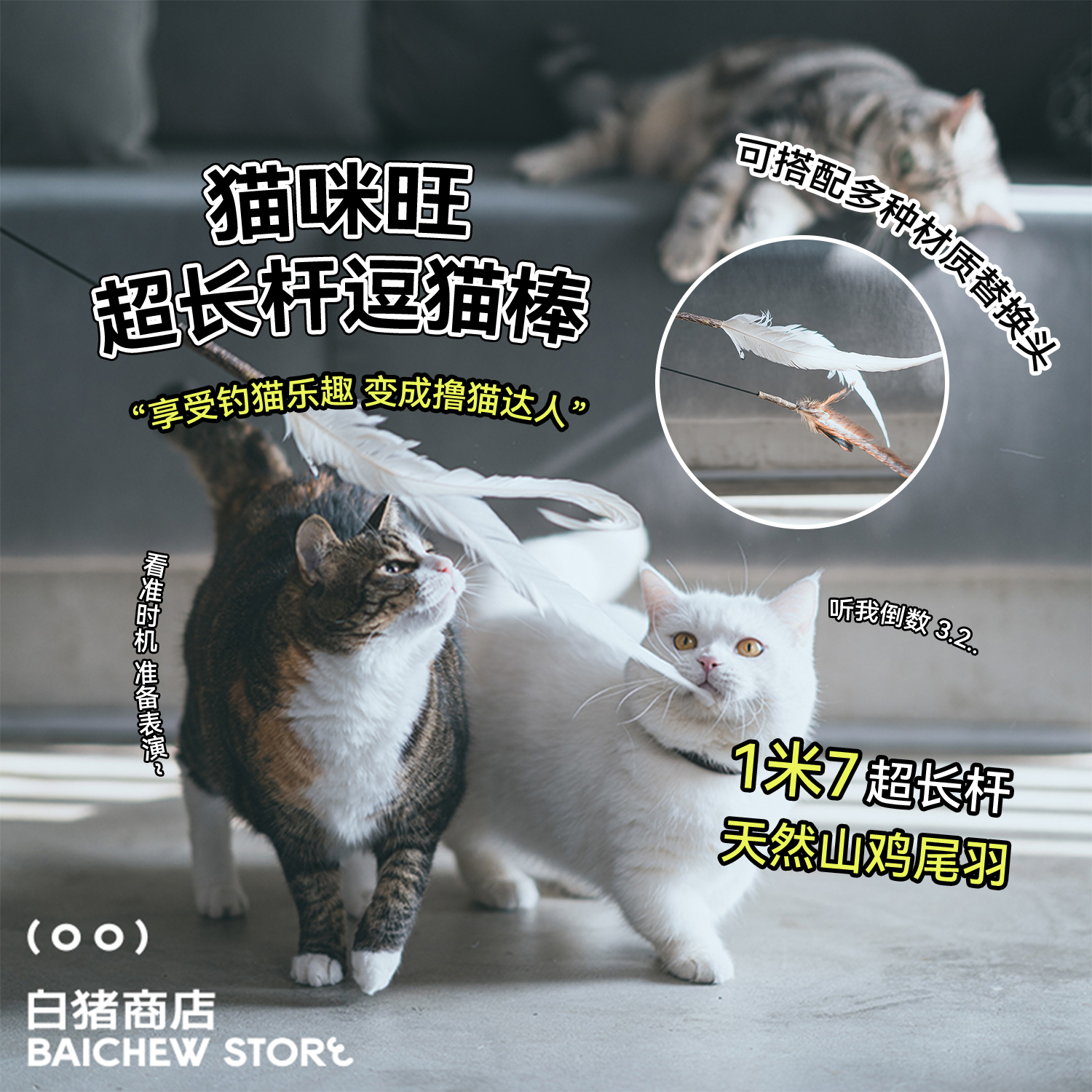 白猪商店猫咪旺农场超长逗猫棒