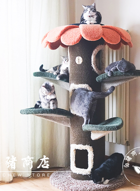 白猪商店 猫的树 Camily猫爬架太阳花猫树猫咪抓板可定制猫窝城堡