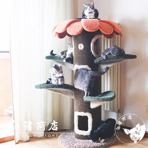 白猪商店Camily猫爬架猫窝猫抓板