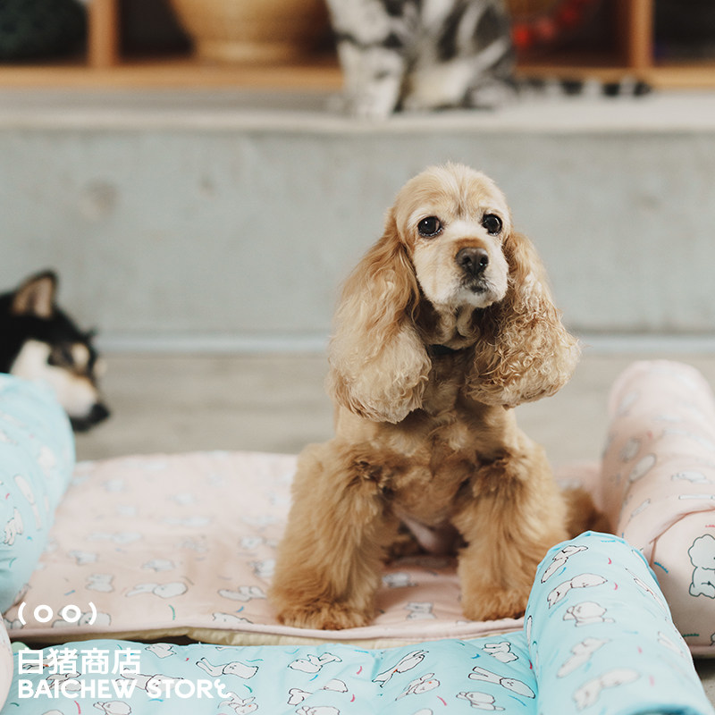 白猪商店 宠物夏季凉垫猫咪狗狗凉席窝冰垫夏天睡觉垫子睡垫用品,宠物/宠物食品及用品,猫狗垫子,淘宝优惠券,粉丝福利购,淘宝优惠卷