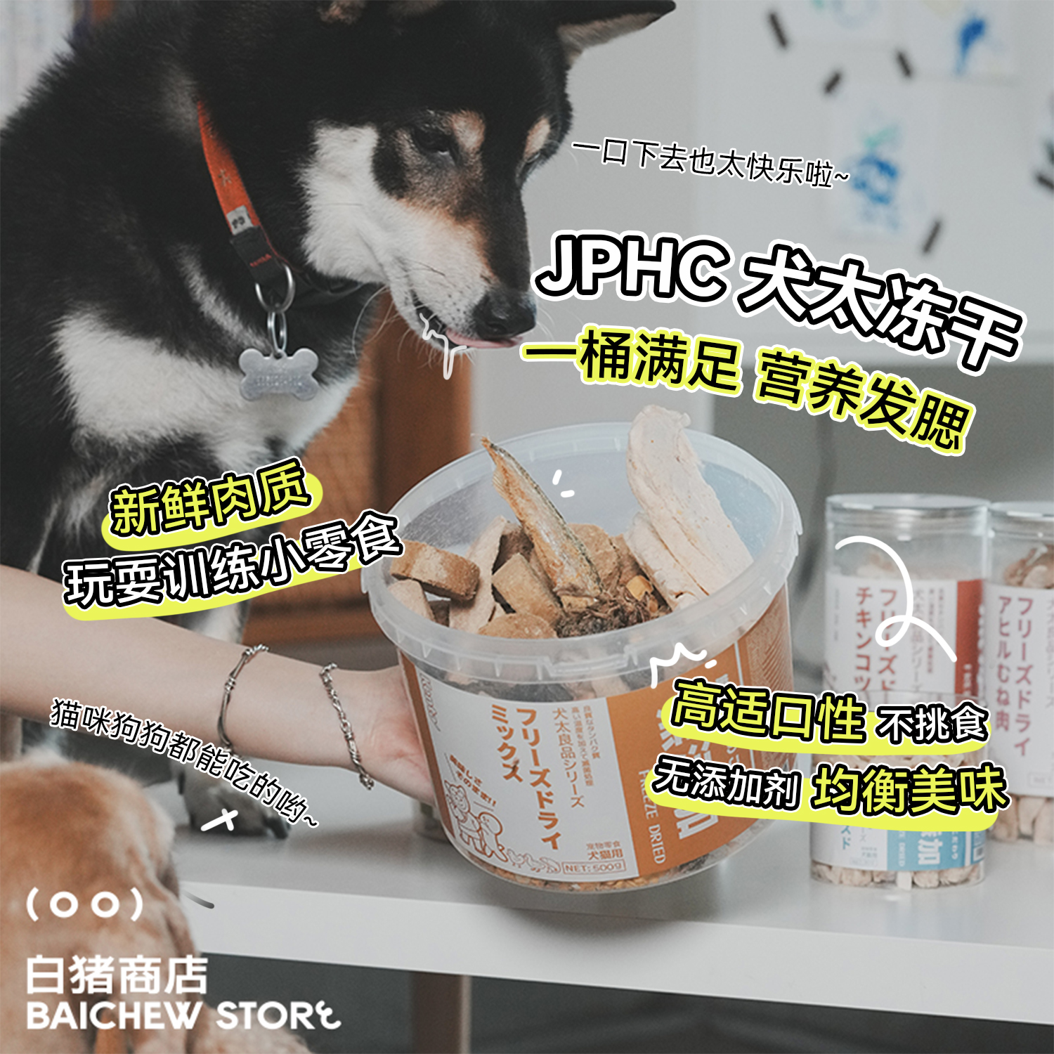 白猪商店一大桶的满足 JPHC犬太宠物冻干零食猫狗通用小鱼干鹌鹑-封面