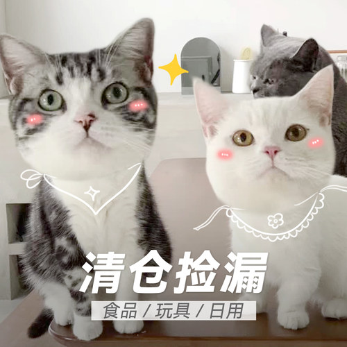 白猪商店玩具窝窝用品清仓