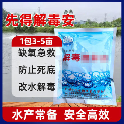 家庭锦鲤池塘养殖观赏鱼