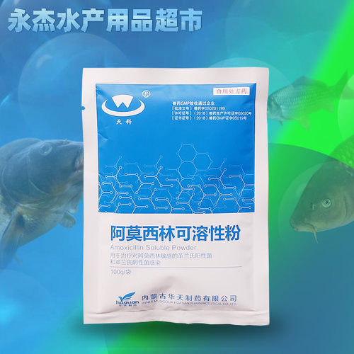 阿莫西林可溶性粉兽用水产养殖鱼虾蛙牛羊猪药鸭鸡禽药预混剂消炎