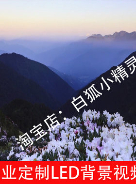 等你爱我配乐2437背景视频花海杜鹃花风云涌动LED歌曲背景视频