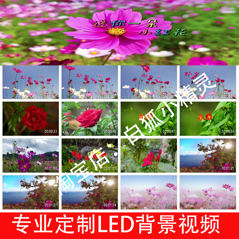 送你一朵小红花2464-小石头和孩子们版歌曲舞蹈LED大屏幕背景视频