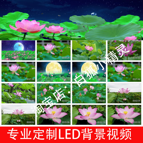 一朵莲S2467舞蹈背景视频 荷花莲花舞台唯美中国风舞美LED大屏幕