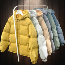Blouson hiver pour homme   OTHER - Ref 3112338 Image 22