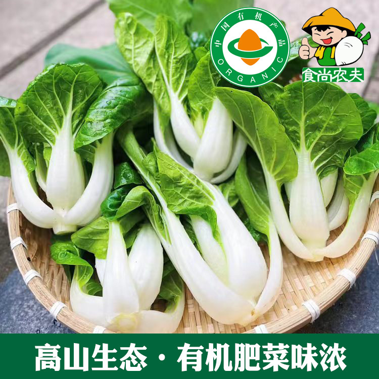 有机高山蔬菜无农药品种自选