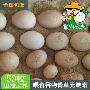 粮食喂养草初生土鸡蛋 生态放养散养 孕期儿童专享50个包邮