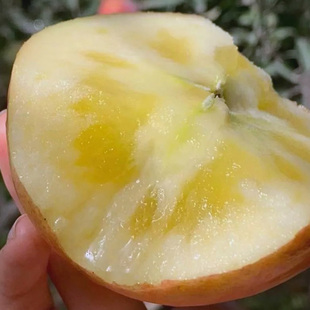 脆甜爽口 果肉紧实 绿色认证 果味浓郁 超甜新疆阿克苏冰糖心苹果