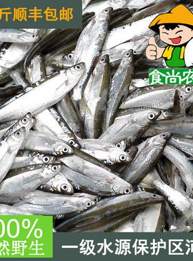 纯天然广东河源小刀鱼食尚农夫