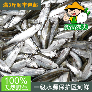 纯天然小刀鱼小河鱼小白条蓝刀500克 生态鲜鱼河鲜  广东3斤包邮