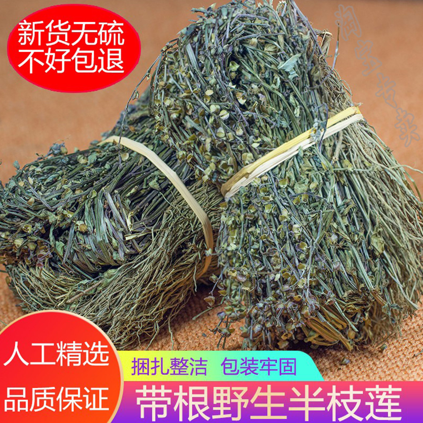 广东好品质野生半枝莲干品中药材