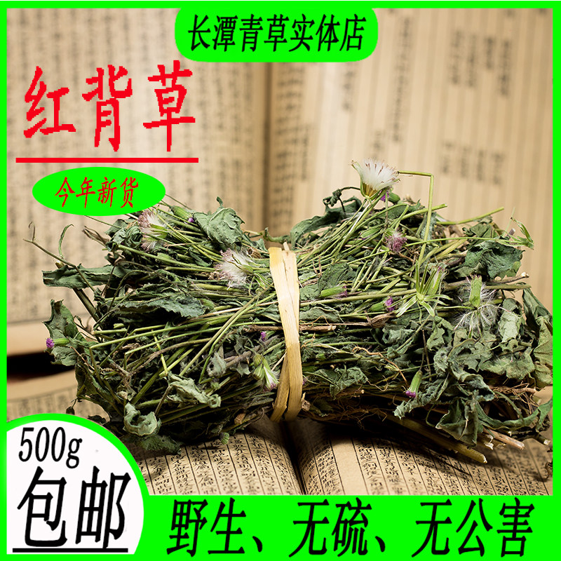 野生包邮新鲜一点红羊蹄草干品图片