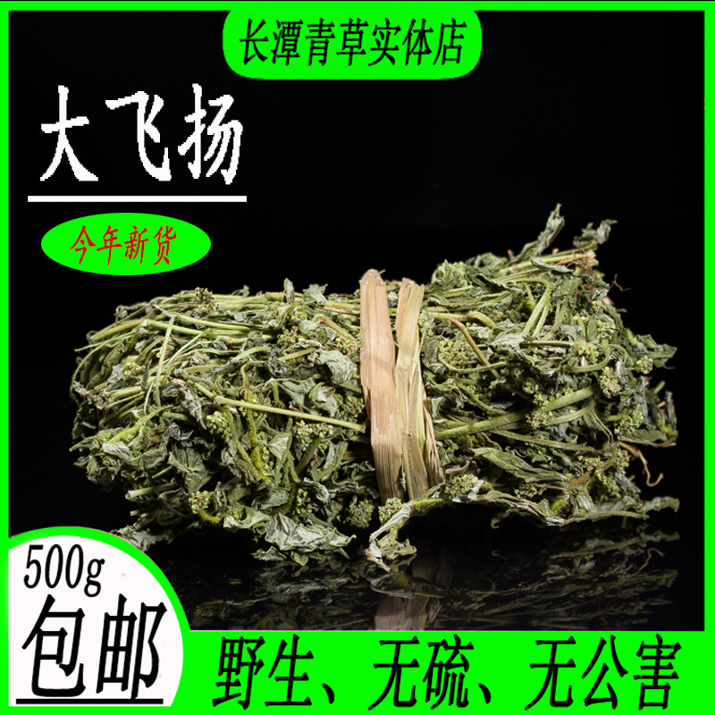 包邮野生新货干品500克 大飞扬草  大乳汁草 节节花 飞扬草