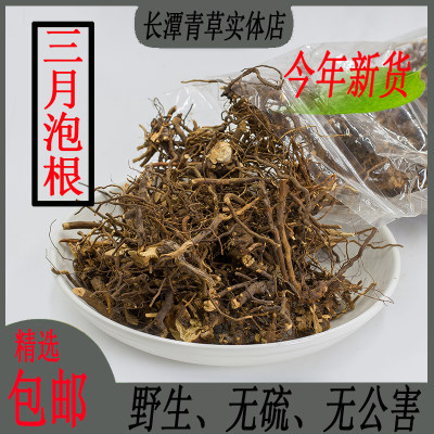 野生中草药根三月泡根