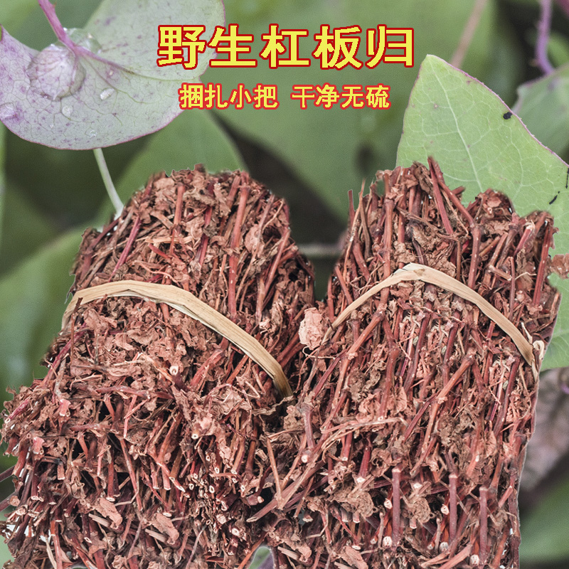 野生杠板归刺酸浆老虎刺老虎利 河白草 蛇倒退 蛇不过500克包邮