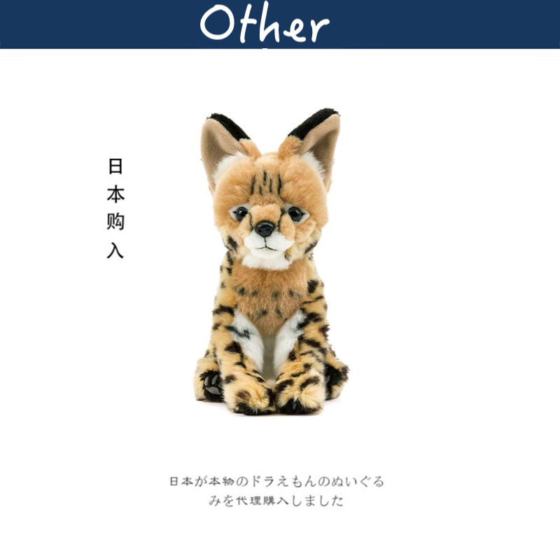 colorata日本正版薮猫公仔