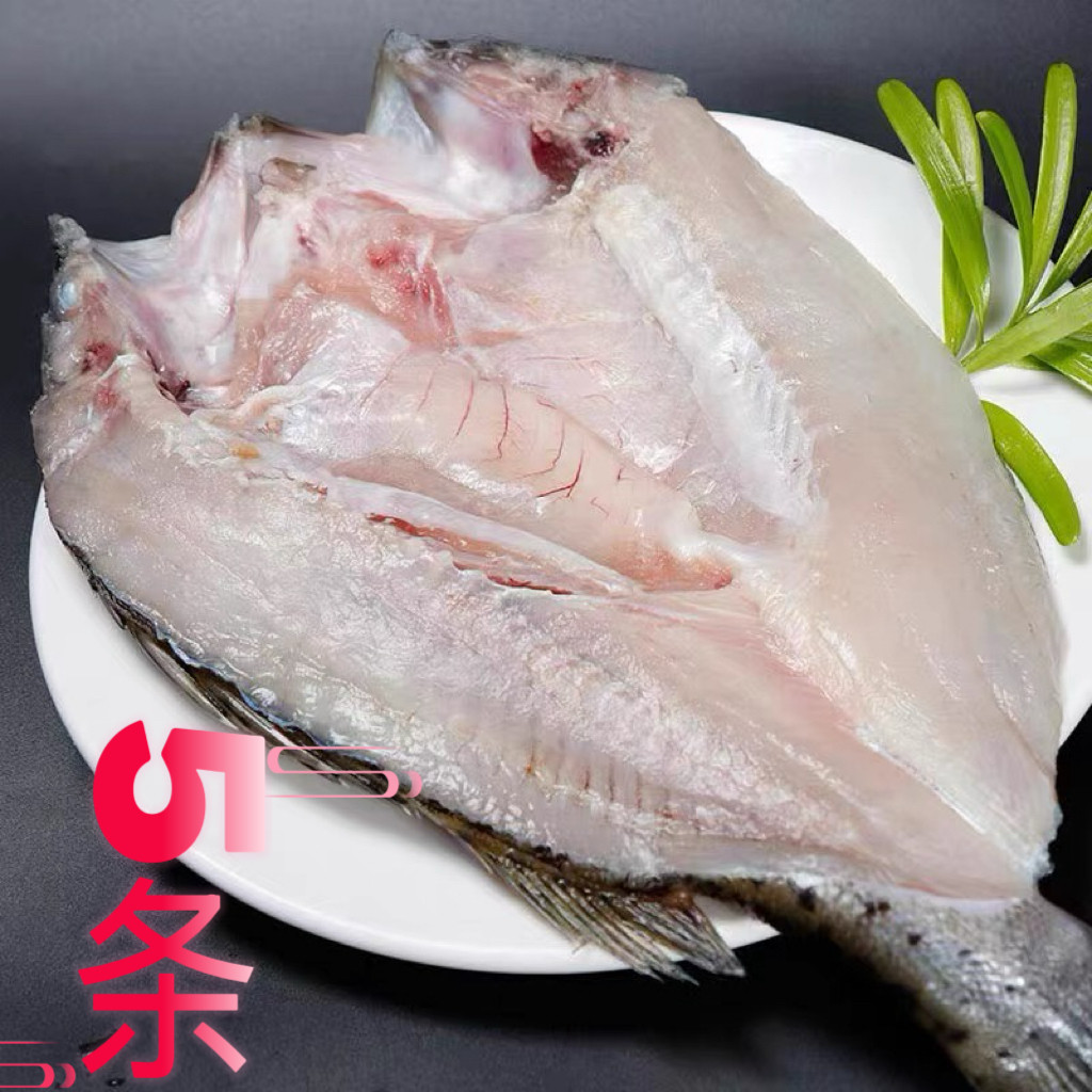 新鲜鲈鱼开背冷冻商用七星清蒸