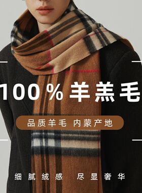 26秋冬新款100%纯羊毛围巾男女高级感格子披肩百搭简约流苏围脖