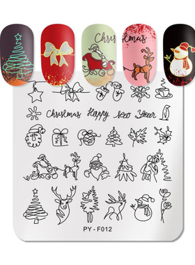 【油姐】PICT YOU-F12 印花转印板 美甲DIY彩绘模板 圣诞极简线条