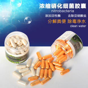 养鱼用超浓缩硝化细菌胶囊净化水质硝化细菌干粉活菌鱼缸水族专用