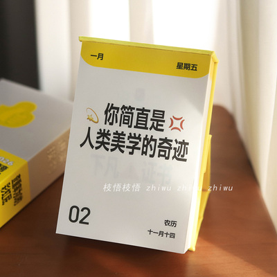 枝悟 夸夸自己365日历 每天一遍我真棒 2026文艺桌面台历摆件礼物