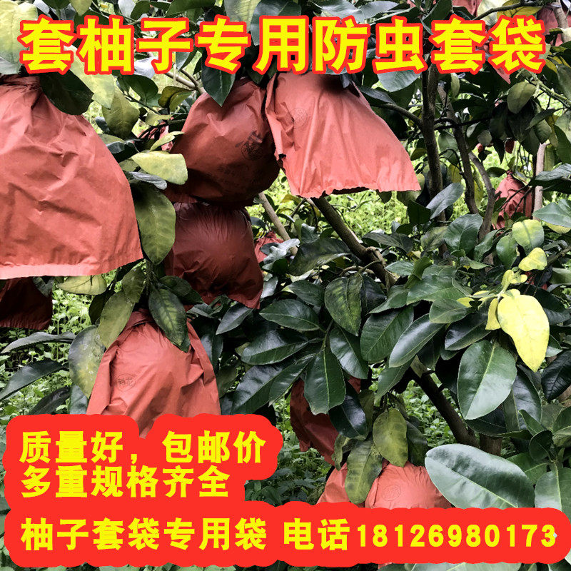 柚子水果套袋白肉三红肉密柚套袋柚子专用三层防虫鸟单双层30/32