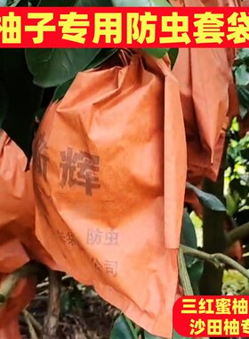 柚子水果套袋三红肉密柚套袋柚子专用三层防虫鸟沙田柚单双层3032