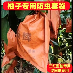 柚子水果套袋三红肉密柚套袋柚子专用三层防虫鸟沙田柚单双层3032