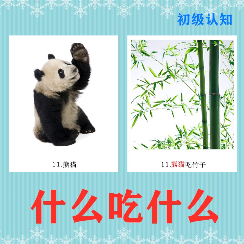 2-7岁什么吃什么动物语言表达