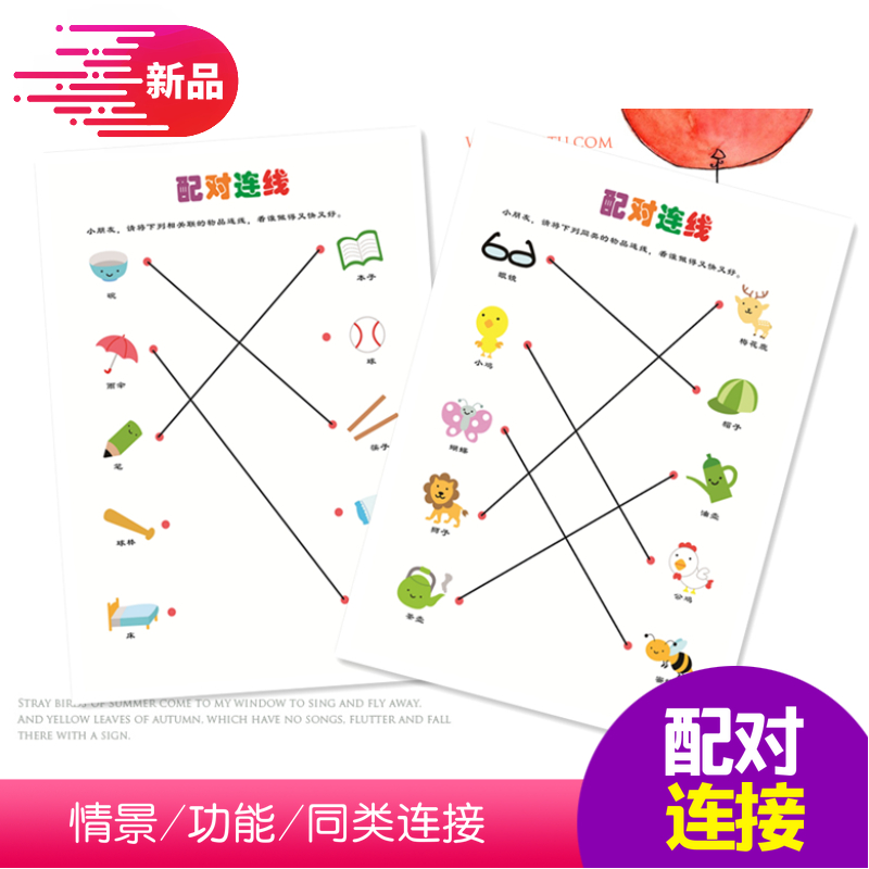 幼儿园宝宝配对连接功能同类线画精细玩具4岁5岁3岁中性7岁6岁