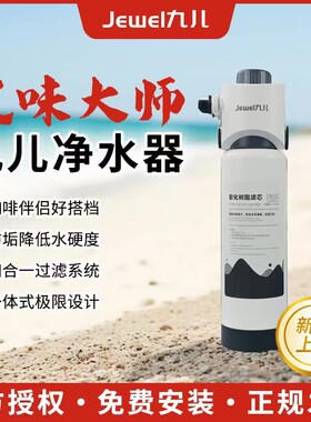 九儿风味大师商用净水器软水器大流量直饮水咖啡吧台奶茶店过滤器