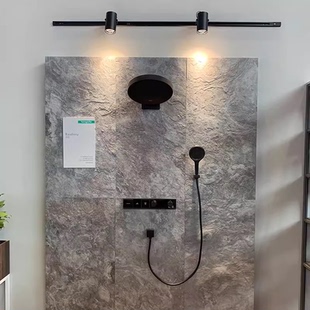 德国汉斯格雅Rainfinity360境雨单速淋浴花洒恒温暗装26230677