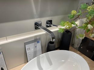 德国原装雅生双孔单把暗装墙出水单把手面盆龙头36106007银色全铜