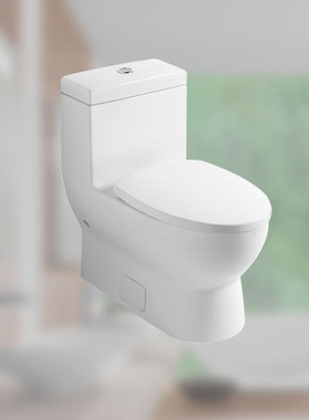 德国品牌原装萨泊威连体座便器 6616AS01+9M30S101 305MM马桶进口