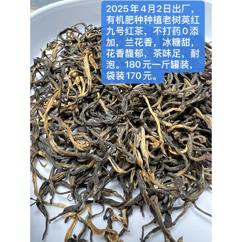 17年老店英德老树英红九号2026新明前春茶浓香耐泡500克袋装 - 封面
