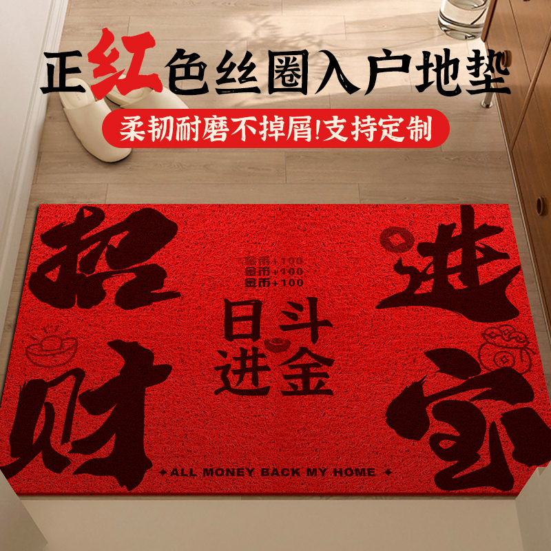 飞彩家居饰品2025新款入户地垫