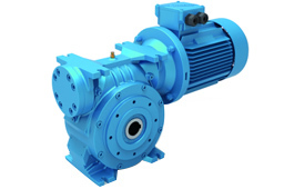 RVD050.RD063.RV080.100.125减速机R50.63.80.100.125蜗轮减速箱