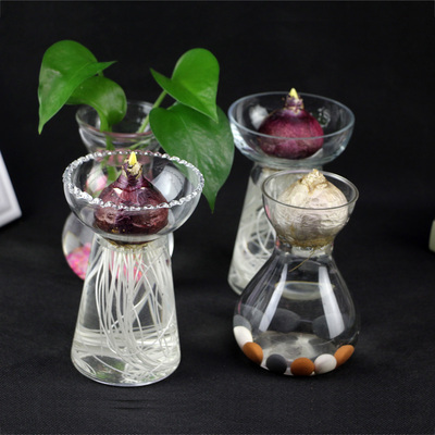 风信子水培瓶水培种球容器玻璃花瓶绿萝水培植物玻璃花瓶透明个性