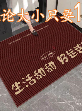 简约轻奢入户门地垫玄关进门简约地毯简约轻奢门口脚垫子玄关新款