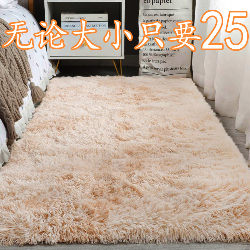 加厚长毛地毯丝毛少女卧室床边地毯长毛绒家用客厅沙发房间飘窗毯