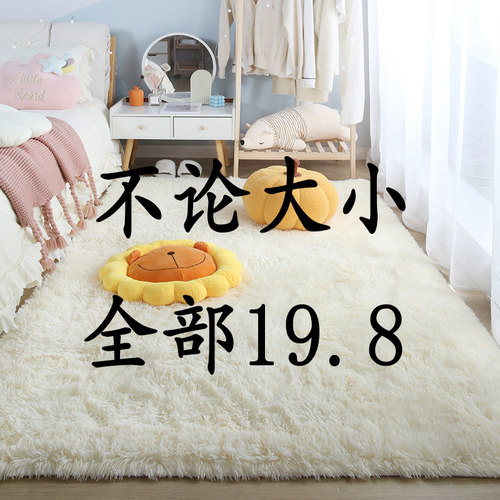 卧室床边毯无论大小19元一块