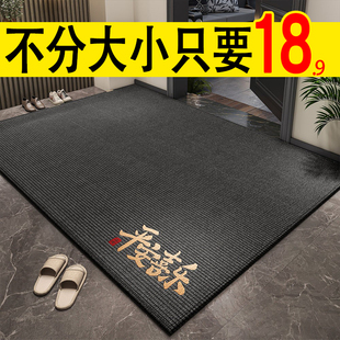 入户门地垫2025新款高级感进门门口脚垫耐脏免洗防滑家用门外地毯