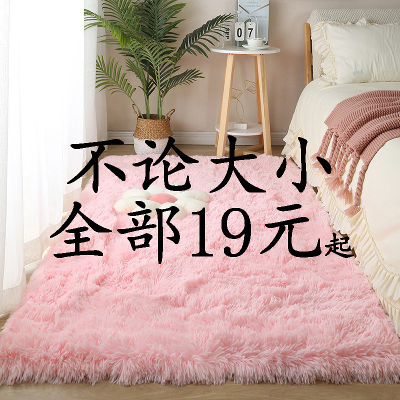 地毯卧室床边毯客厅满铺大面积毛毯垫家用少女房间宿舍ins风地垫