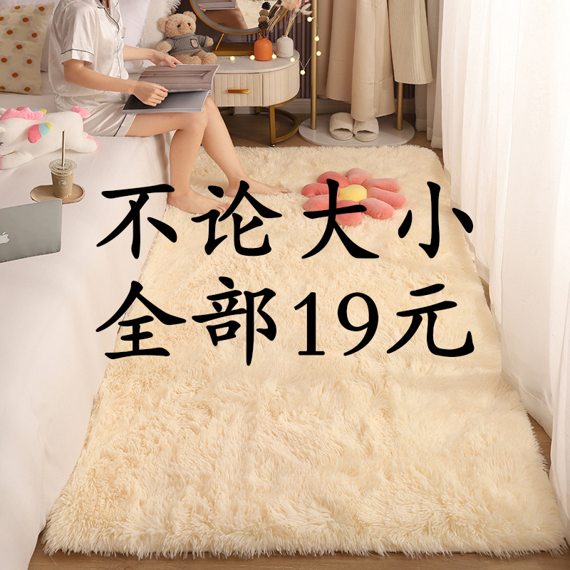 卧室地毯不论大小19元一张