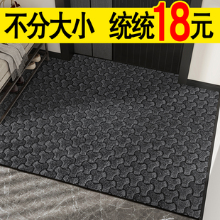 入户门地垫2024新款 高级感门口地毯进门脚垫门垫门外耐脏免洗高端