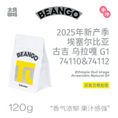 Beango太良埃塞俄比亚 古吉乌拉嘎厌氧日晒处理手冲豆
